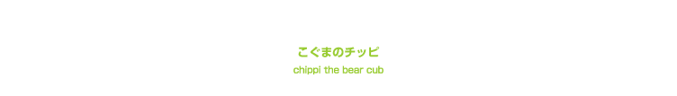 こぐまのチッピ　chippi the bear cub